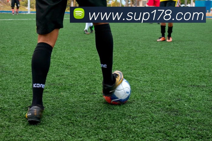 多媒体互动体验