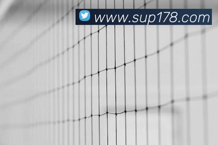 开云·官方版网站登录入口 - 开云(中国)APP 体育赛事宣传图